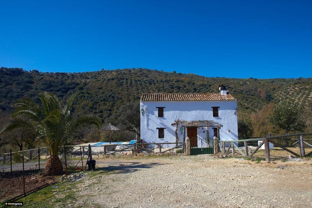Hotel Enrique Calvillo El Bosque Rom bilde