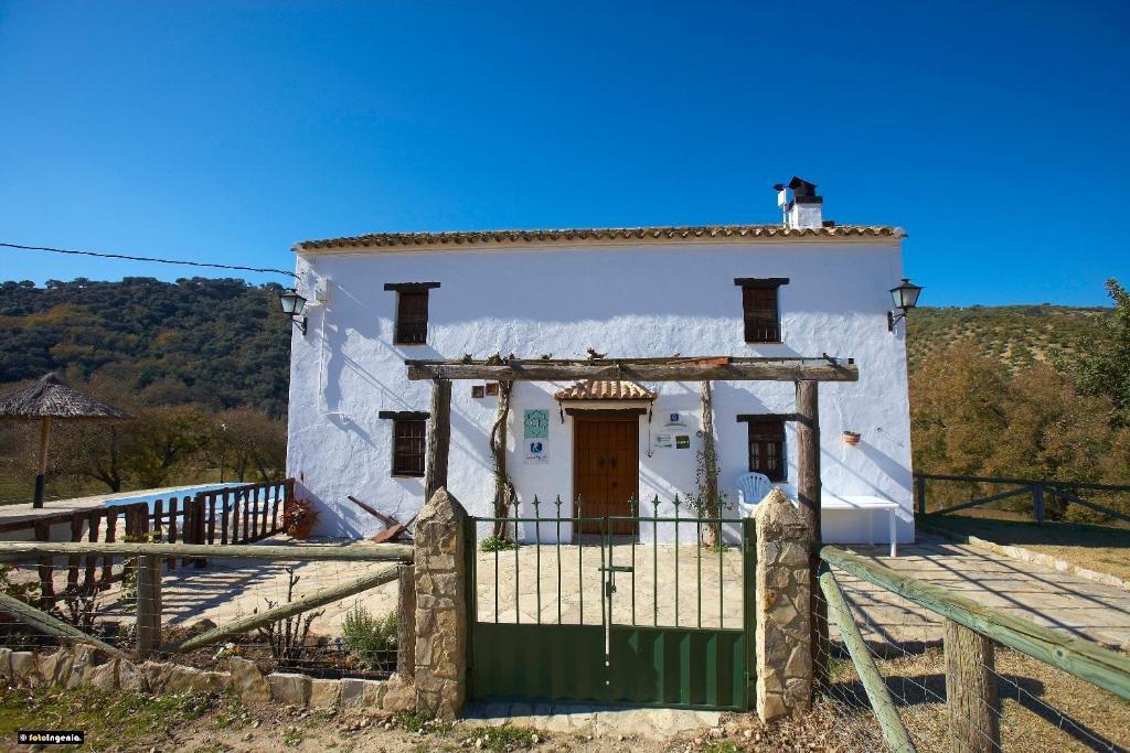 Hotel Enrique Calvillo El Bosque Rom bilde