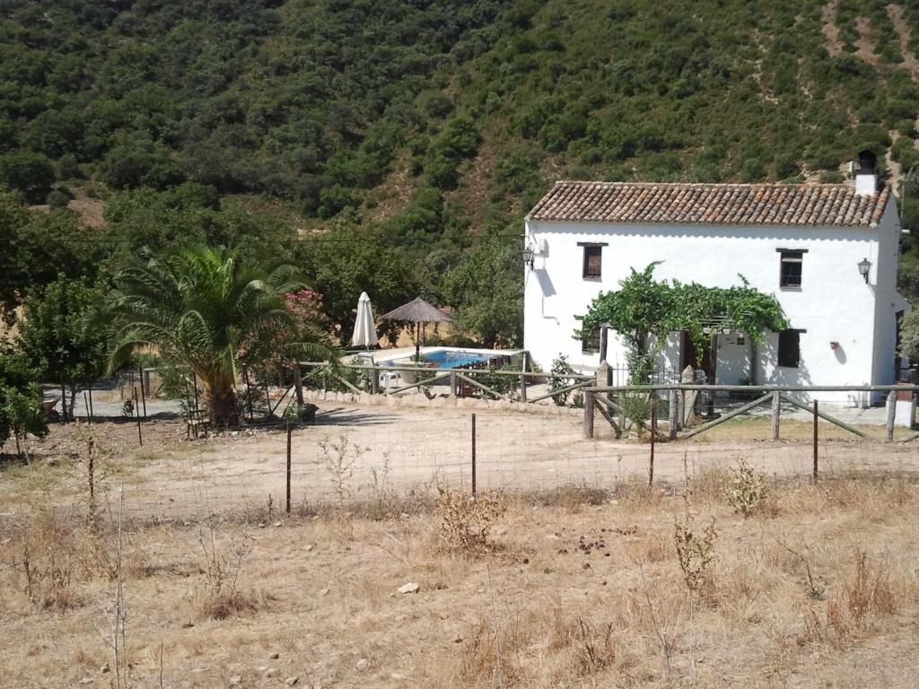 Hotel Enrique Calvillo El Bosque Rom bilde