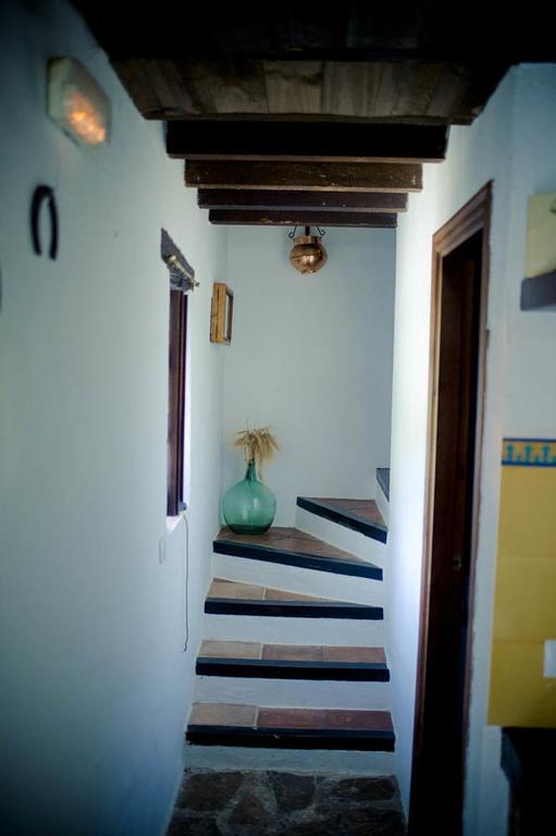 Hotel Enrique Calvillo El Bosque Eksteriør bilde