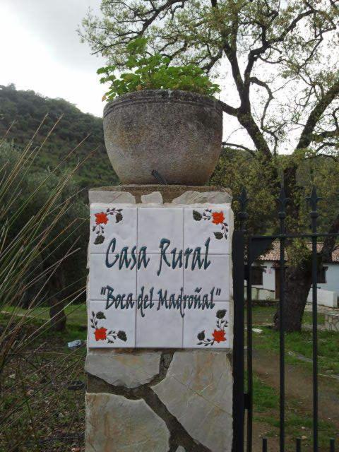 Hotel Enrique Calvillo El Bosque Rom bilde