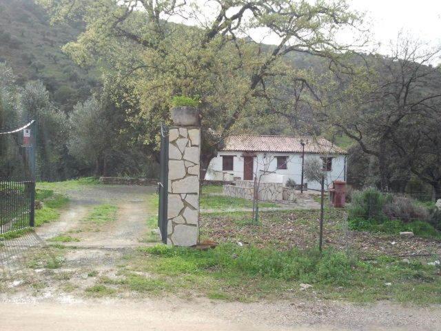 Hotel Enrique Calvillo El Bosque Rom bilde